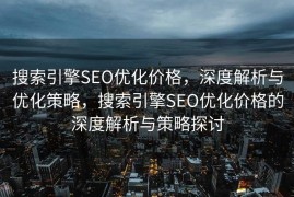 搜索引擎SEO优化价格，深度解析与优化策略，搜索引擎SEO优化价格的深度解析与策略探讨