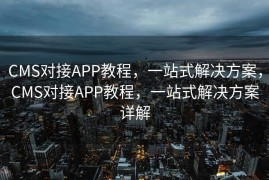 SEO推广网络，提升网站流量的关键策略，SEO推广网络，提升网站流量的核心策略