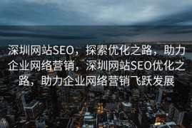 深圳网站SEO，探索优化之路，助力企业网络营销，深圳网站SEO优化之路，助力企业网络营销飞跃发展
