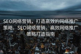 SEO网络营销，打造高效的网络推广策略，SEO网络营销，高效网络推广策略打造指南