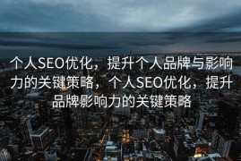 个人SEO优化，提升个人品牌与影响力的关键策略，个人SEO优化，提升品牌影响力的关键策略