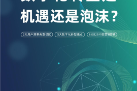 WEBPOWER：2022年营销数字化转型白皮书-2025最新seo资料
