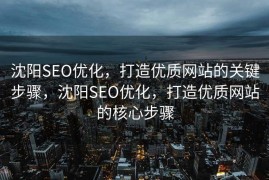 沈阳SEO优化，打造优质网站的关键步骤，沈阳SEO优化，打造优质网站的核心步骤