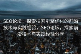SEO论坛，探索搜索引擎优化的前沿技术与实践经验，SEO论坛，探索前沿技术与实践经验分享