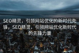 SEO精灵，引领网站优化的新时代先锋，SEO精灵，引领网站优化新时代的先锋力量