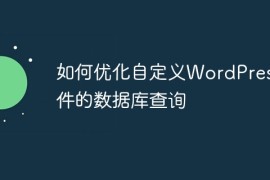 如何优化自定义WordPress插件的数据库查询