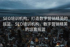 SEO培训机构，打造数字营销精英的摇篮，SEO培训机构，数字营销精英的培育摇篮