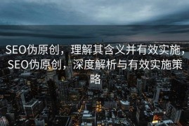 SEO伪原创，理解其含义并有效实施，SEO伪原创，深度解析与有效实施策略