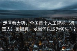 走区看大势，全国首个人工智能（机器人）署揭牌，龙岗何以成为领头羊？