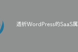 透析WordPress的SaaS属性