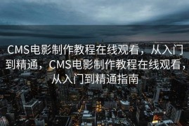 CMS电影制作教程在线观看，从入门到精通，CMS电影制作教程在线观看，从入门到精通指南