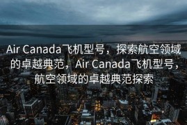 Air Canada飞机型号，探索航空领域的卓越典范，Air Canada飞机型号，航空领域的卓越典范探索