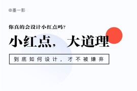 保姆级教程！全面系统的小红点设计指南-2025最新seo资料