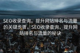 SEO收录查询，提升网站排名与流量的关键步骤，SEO收录查询，提升网站排名与流量的秘诀