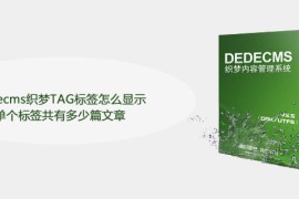 dedecms织梦TAG标签怎么显示单个标签共有多少篇文章