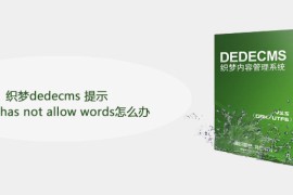 织梦dedecms 提示 body has not allow words怎么办
