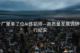厂里来了位AI炼铝师—高质量发展调研行纪实