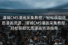 SEO入门教学，掌握搜索引擎优化的基础，SEO入门教学，掌握搜索引擎优化的基础技巧