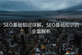 SEO基础知识详解，SEO基础知识的全面解析