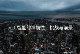 人工智能的准确性，挑战与前景