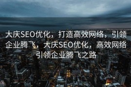 大庆SEO优化，打造高效网络，引领企业腾飞，大庆SEO优化，高效网络引领企业腾飞之路