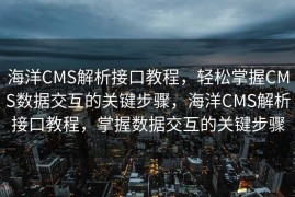 海洋CMS解析接口教程，轻松掌握CMS数据交互的关键步骤，海洋CMS解析接口教程，掌握数据交互的关键步骤