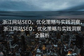 浙江网站SEO，优化策略与实践洞察，浙江网站SEO，优化策略与实践洞察全解析