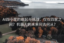 AI四小龙的崛起与挑战，仅仅四家之困？机器人的未来何去何从？