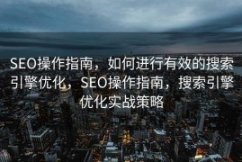 SEO操作指南，如何进行有效的搜索引擎优化，SEO操作指南，搜索引擎优化实战策略