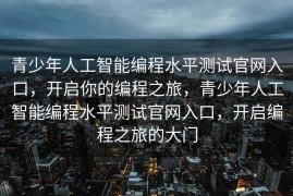 青少年人工智能编程水平测试官网入口，开启你的编程之旅，青少年人工智能编程水平测试官网入口，开启编程之旅的大门