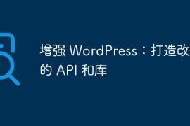 增强 WordPress：打造改进的 API 和库