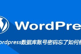 wordpress数据库账号密码忘了如何修改