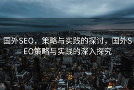 国外SEO，策略与实践的探讨，国外SEO策略与实践的深入探究