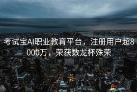 考试宝AI职业教育平台，注册用户超8000万，荣获数龙杯殊荣