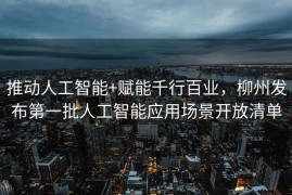 推动人工智能+赋能千行百业，柳州发布第一批人工智能应用场景开放清单