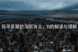 探寻答案的深层含义，D的解读与理解