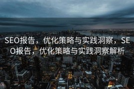 SEO报告，优化策略与实践洞察，SEO报告，优化策略与实践洞察解析