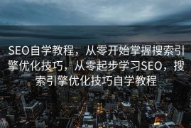 SEO自学教程，从零开始掌握搜索引擎优化技巧，从零起步学习SEO，搜索引擎优化技巧自学教程