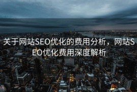 关于网站SEO优化的费用分析，网站SEO优化费用深度解析