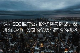 深圳SEO推广公司的优势与挑战，深圳SEO推广公司的优势与面临的挑战