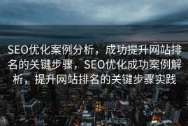 SEO优化案例分析，成功提升网站排名的关键步骤，SEO优化成功案例解析，提升网站排名的关键步骤实践