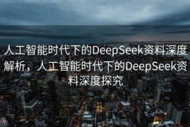 人工智能时代下的DeepSeek资料深度解析，人工智能时代下的DeepSeek资料深度探究