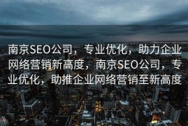 南京SEO公司，专业优化，助力企业网络营销新高度，南京SEO公司，专业优化，助推企业网络营销至新高度