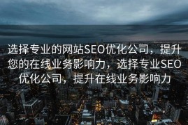 选择专业的网站SEO优化公司，提升您的在线业务影响力，选择专业SEO优化公司，提升在线业务影响力