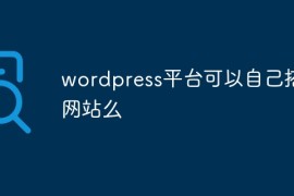 wordpress平台可以自己搭建网站么