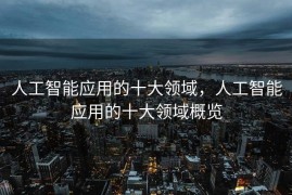 人工智能应用的十大领域，人工智能应用的十大领域概览