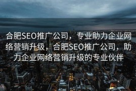 合肥SEO推广公司，专业助力企业网络营销升级，合肥SEO推广公司，助力企业网络营销升级的专业伙伴