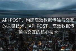 API POST，构建高效数据传输与交互的关键技术，API POST，高效数据传输与交互的核心技术