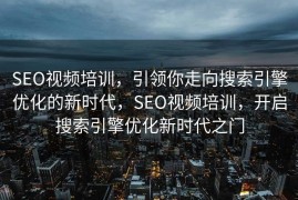 SEO视频培训，引领你走向搜索引擎优化的新时代，SEO视频培训，开启搜索引擎优化新时代之门