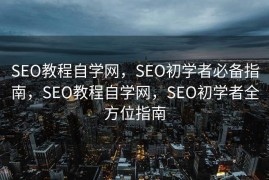 SEO教程自学网，SEO初学者必备指南，SEO教程自学网，SEO初学者全方位指南